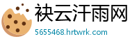 袂云汗雨网